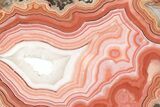 Colorful, Polished Dryhead Agate Slice - Montana #191886-1